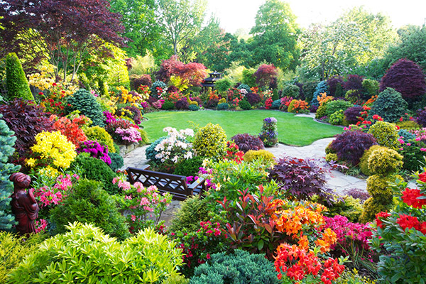 園林植物及其養(yǎng)護技術(shù)要點與質(zhì)量控制